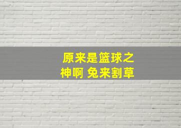 原来是篮球之神啊 兔来割草